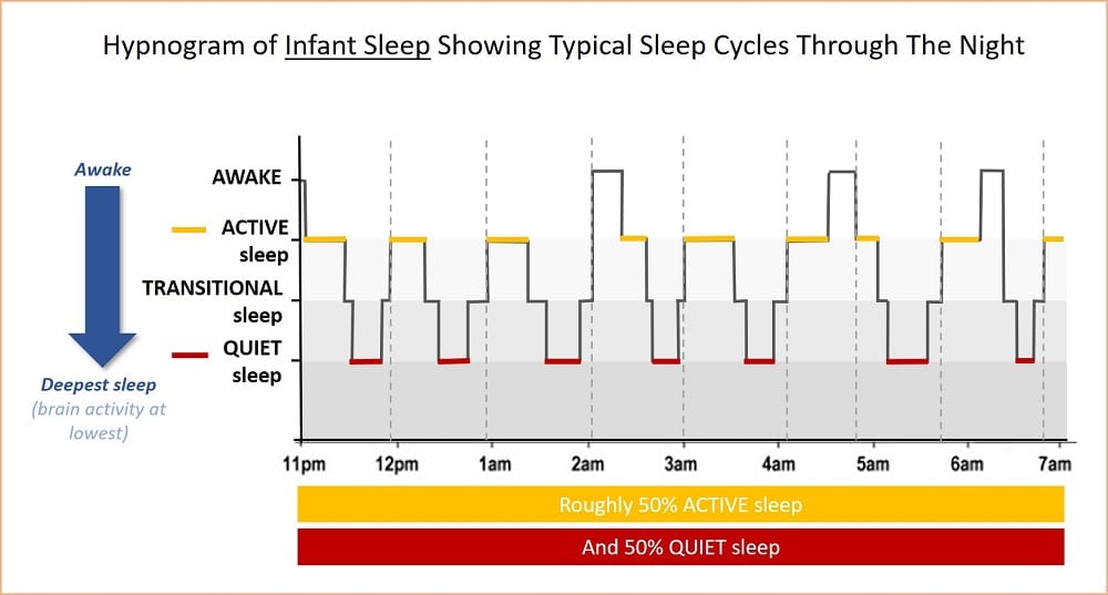 Newborn sleep cycle chart 