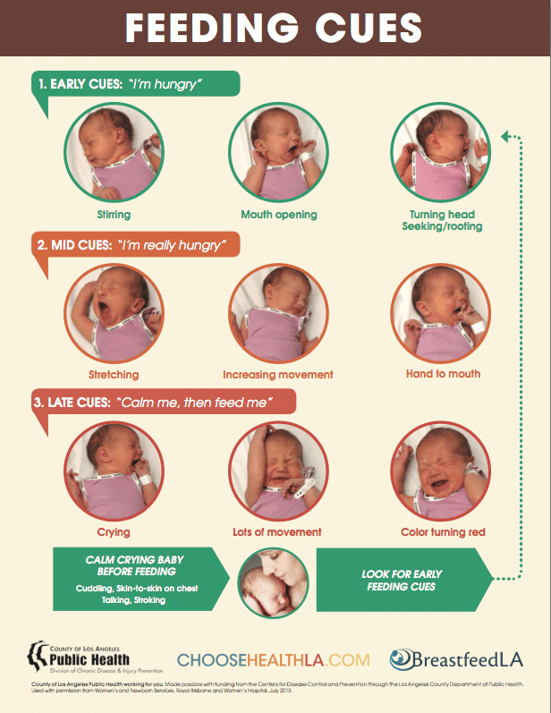 Switch To A Newborn Breastfeeding Schedule Without Leaving Baby Hungry