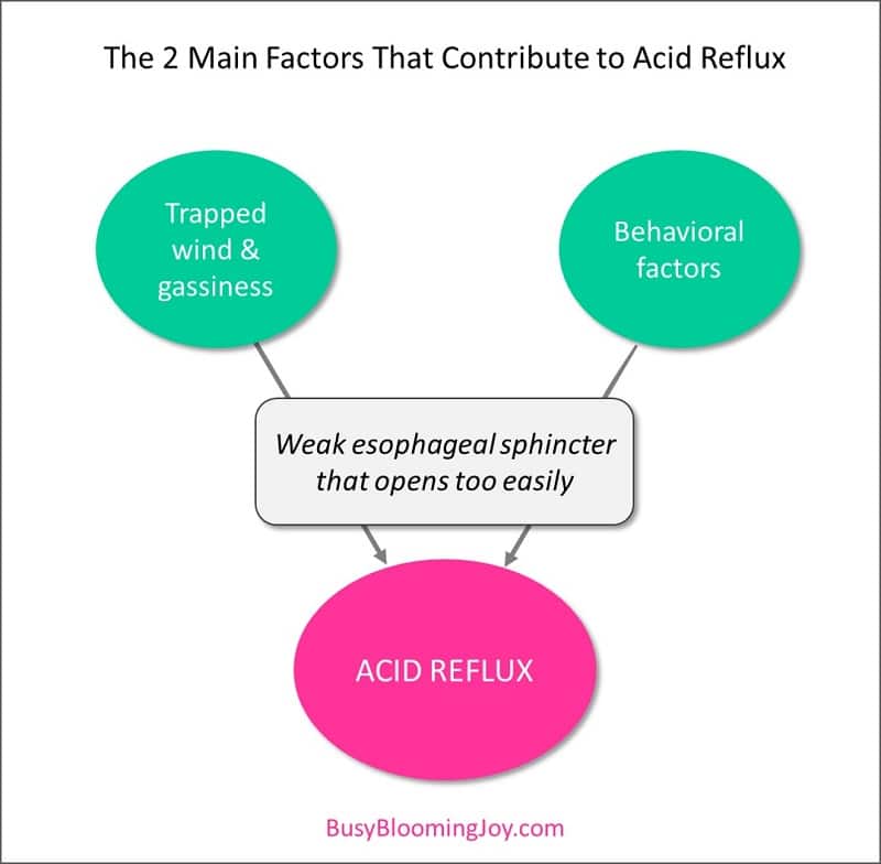 Diagram explaining causes of reflux