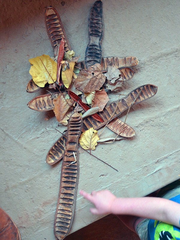 Fall toddler activity - tree leaf