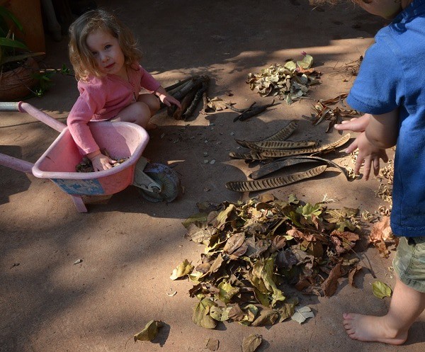 Leaf sorting Fall activity for toddlers