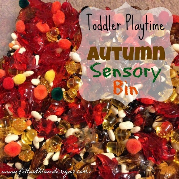 Toddler-Playtime-Autumn-Sensory-Bin-Title