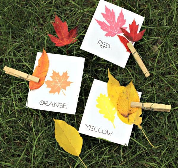 Fall activity for toddlers