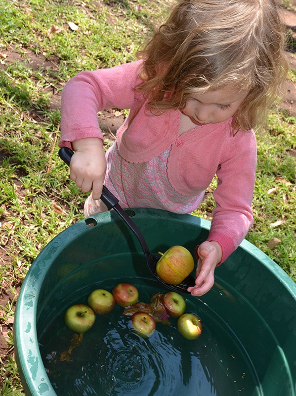 toddler Fall activity - apple bobbing