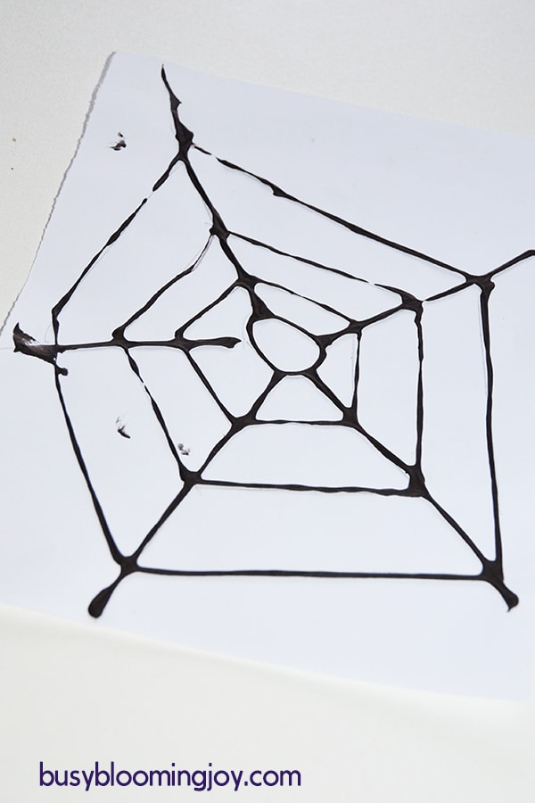 finished spider web craft single