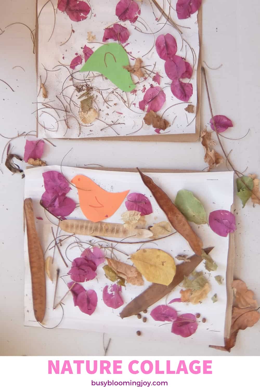 nature collage activity for preschoolers outdoors