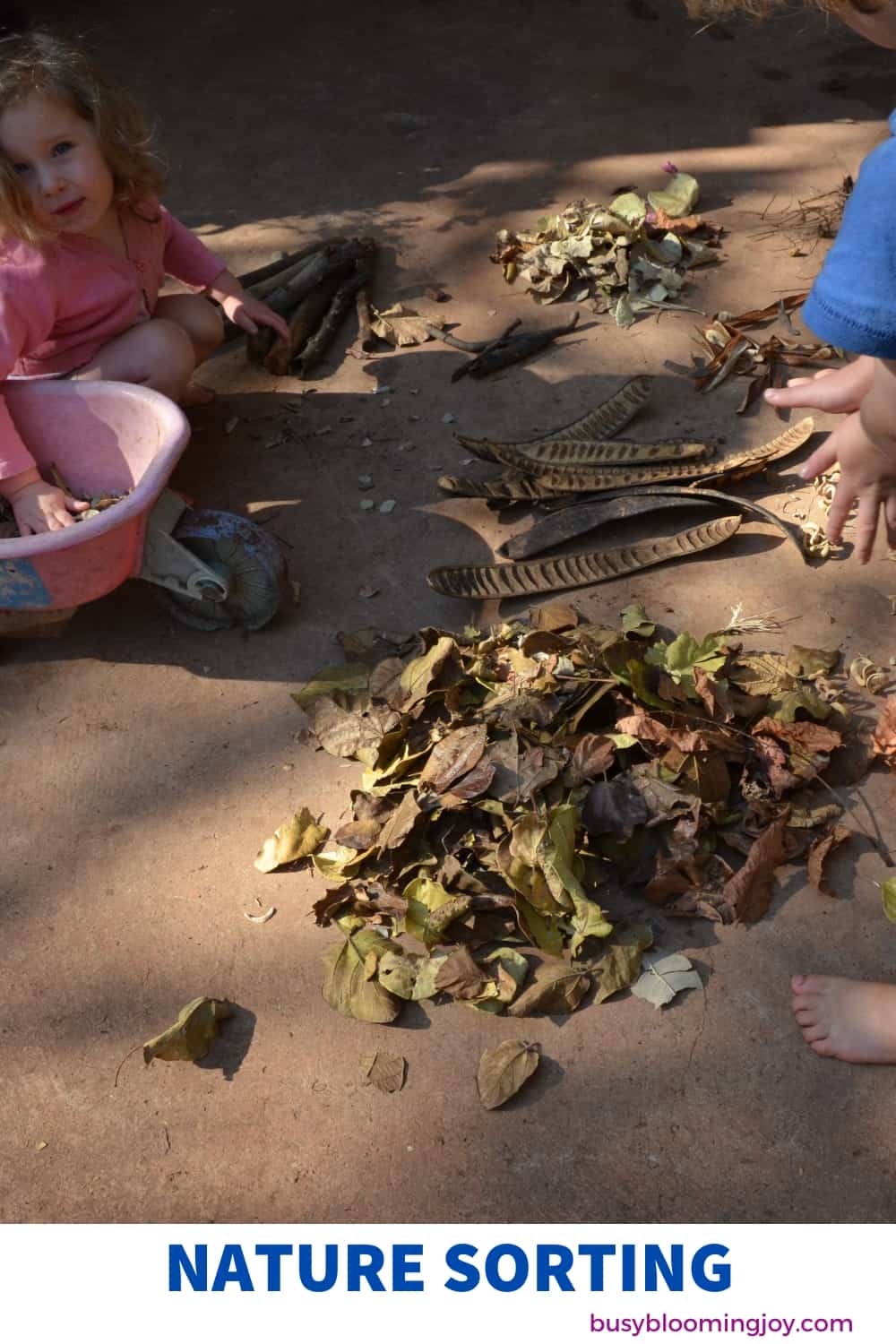 leaf sorting outdoor activity to do at preschool or childcare