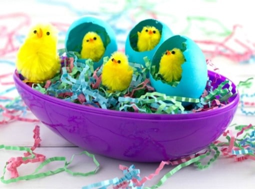 Cute Easter chick craft for preschoolers and toddlers