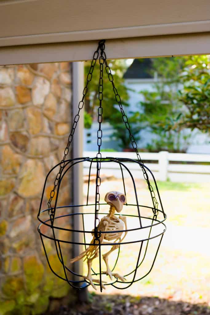 decor for your toddler Halloween party - birdcage