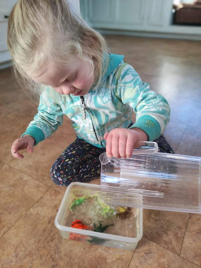 Filling the tupperware, ready to freeze