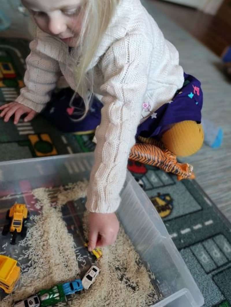 Enjoying the rice tray