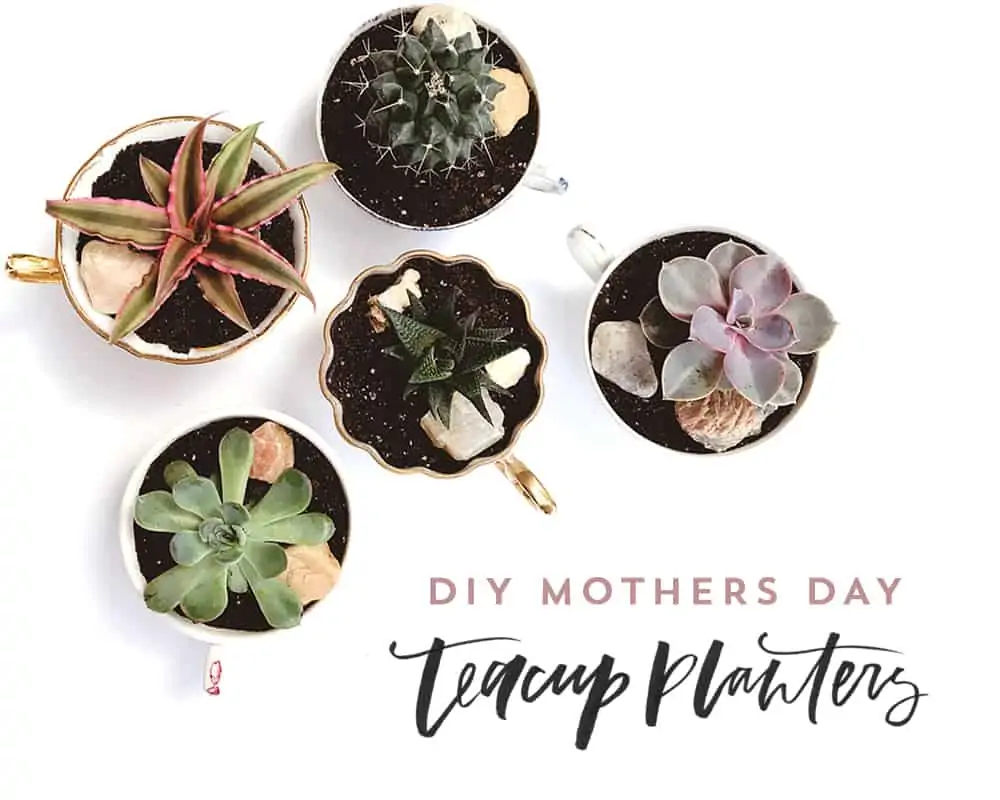 DIY Mother's Day Teacup Planters Craft ideas for preschoolers to make 