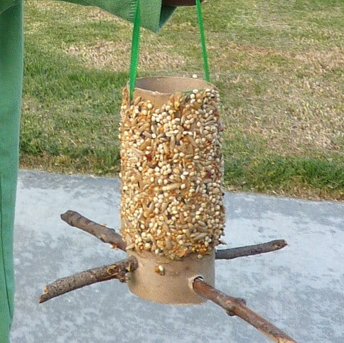bird feeder toilet paper roll crafts for toddlers