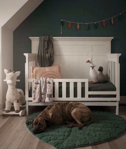 dark green nursery idea with white furniture 