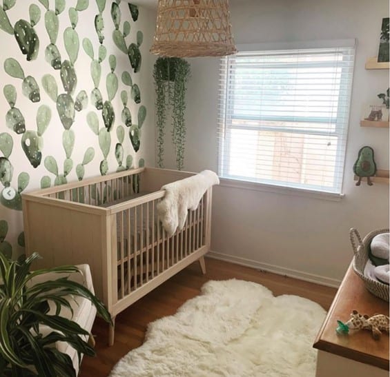 green baby nursery ideas with cactus wallpaper