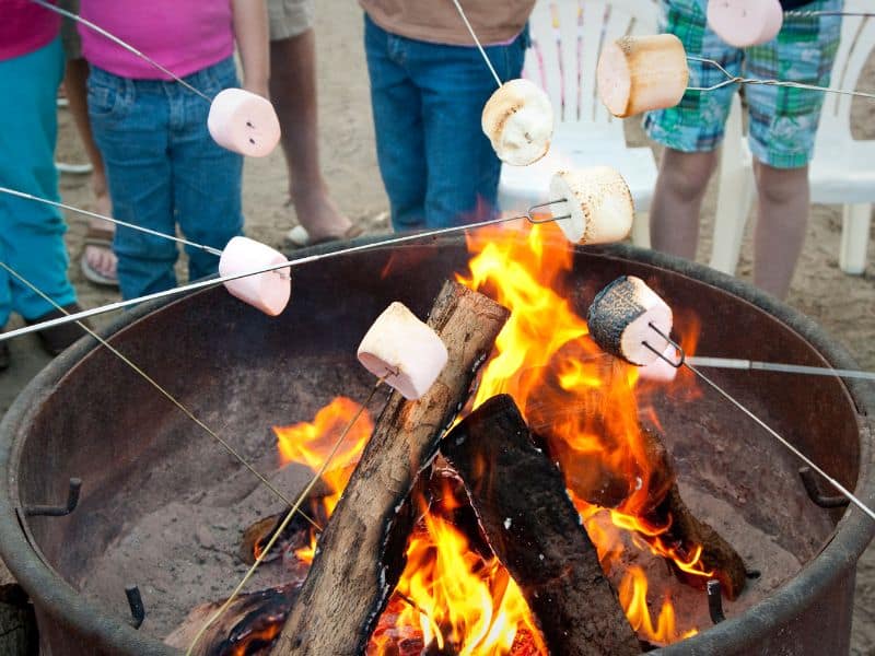 roast or smores marshmallows fun outdoor activity