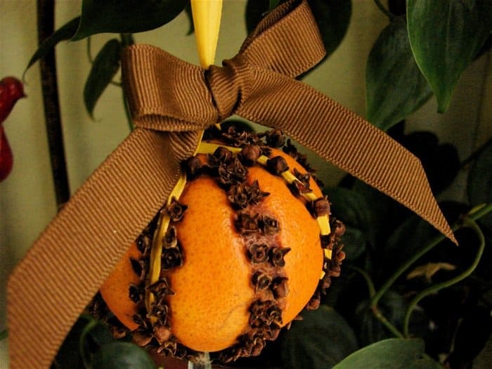 dried whole orange christmas ornaments made from nature