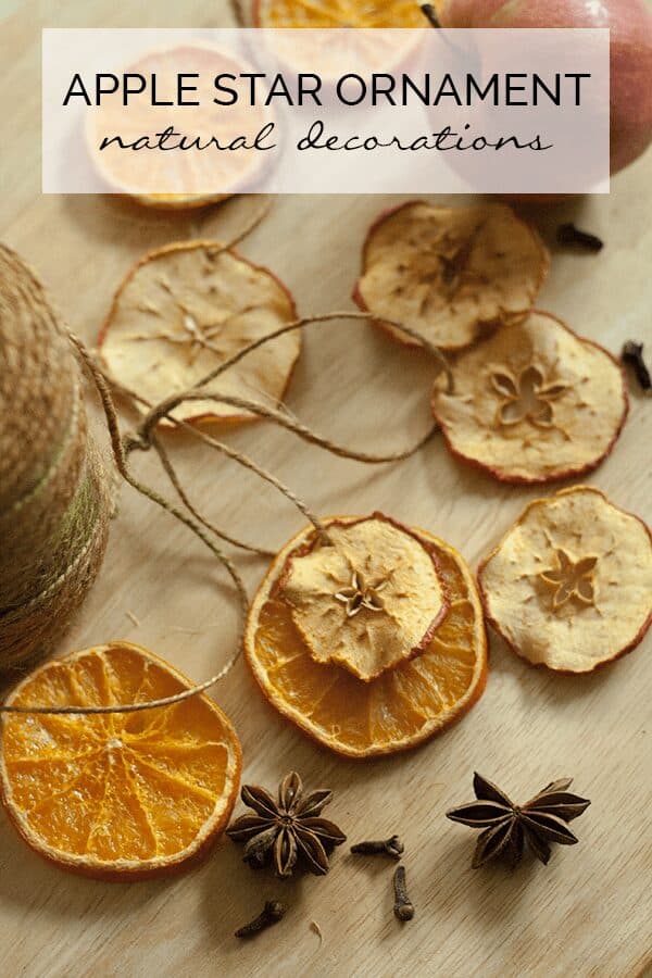 dried apple and orange nature inspired christmas ornaments