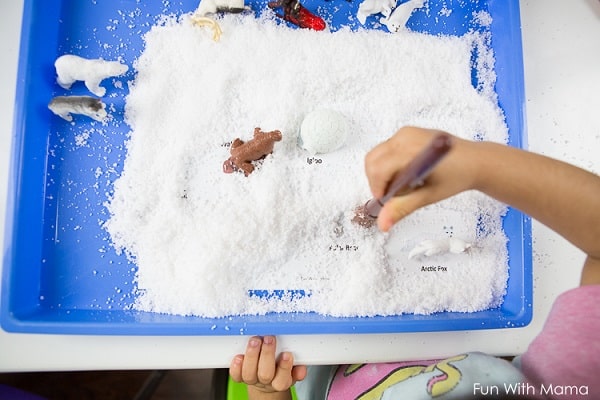 winter theme sensory bin with a matching game idea