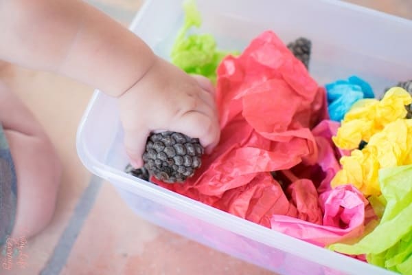 pinecones and tissue paper fall sensory bin for infants