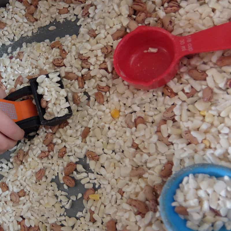 sensory bin using beans, rice and scoops