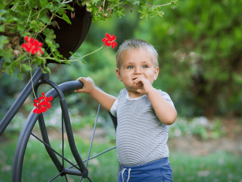 exploring the garden or park to stimulate all senses