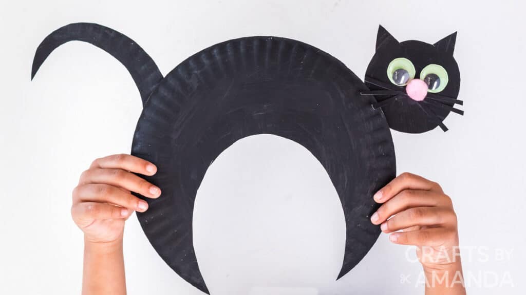 paper plate black craft