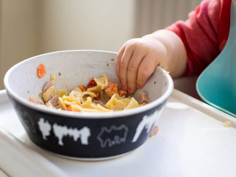 Healthy meal options for toddlers 1 year old and up