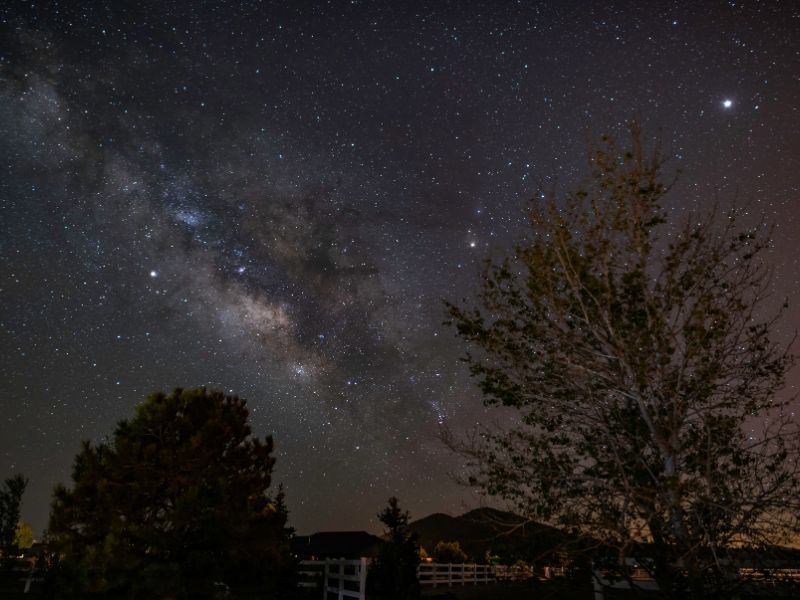 Stargazing in the backyard
