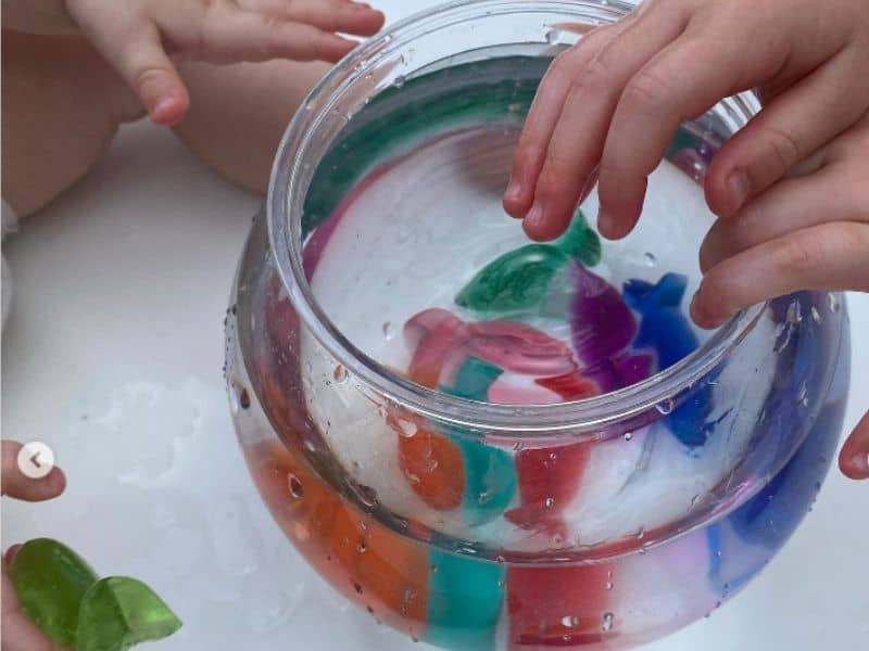 fish bowl sensory activity