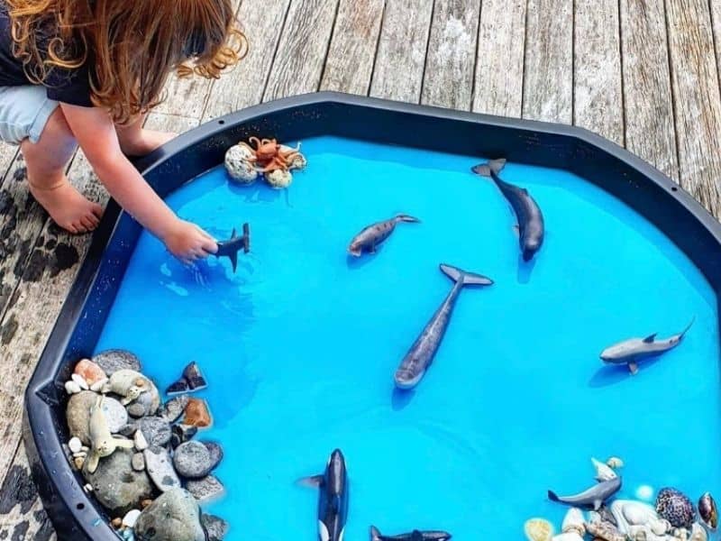 Sea Life water Sensory Bin activity