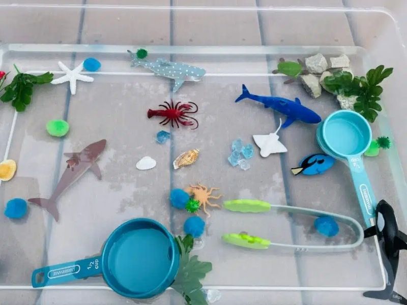 ocean sensory bin activity