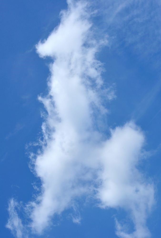 cloud watching outdoor giraffe activities for kids