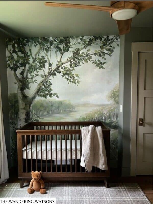 whimsical baby boy nursery wall art