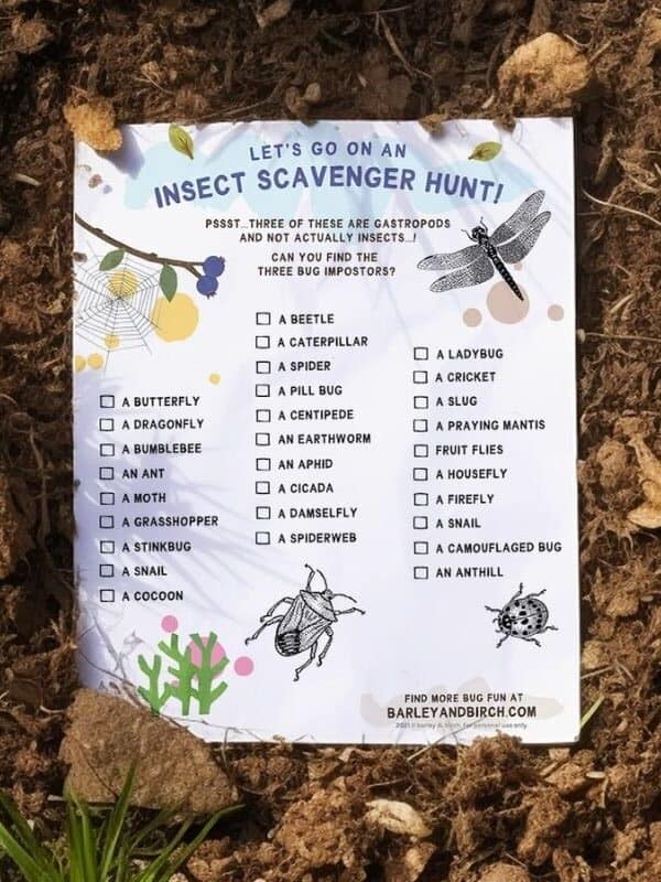 insect scavenger hunt camping activities for preschoolers