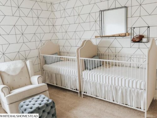 30 Best Dreamy & Inspiring Gender Neutral Twin Nursery Ideas