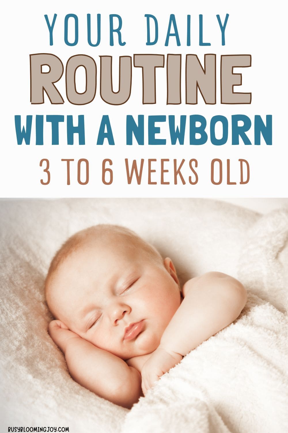 daily routine schedule for newborn aged 3 to 6 weeks