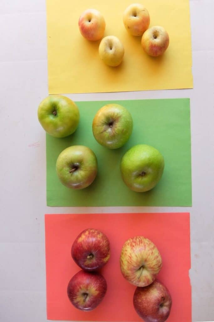 sorting by color is a fun indoor toddler learning activity