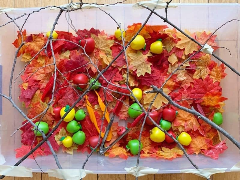 Apple Picking Sensory Bin
