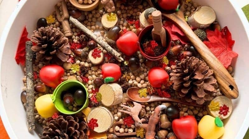 Fall Harvest Farm Sensory Bin